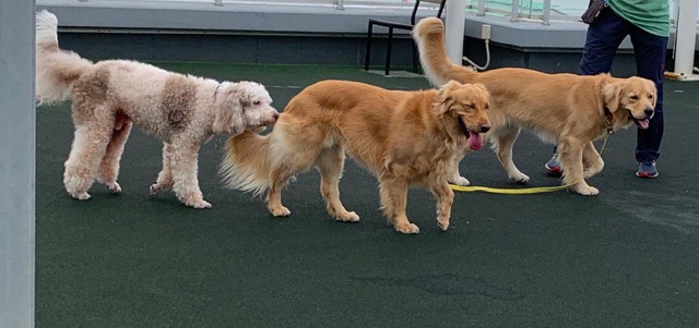 ファイル 7229-1.jpg