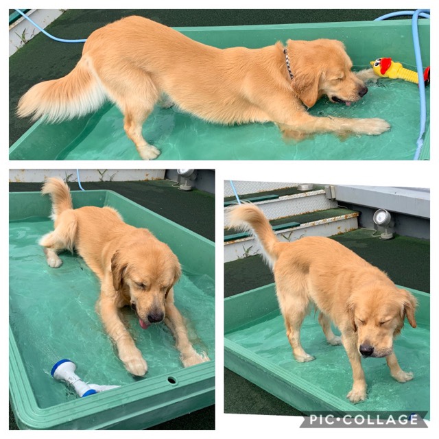 ファイル 7229-2.jpg