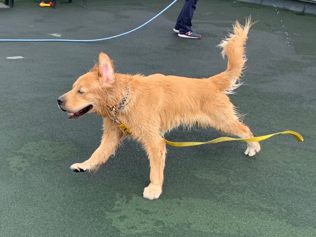 ファイル 7229-3.jpg