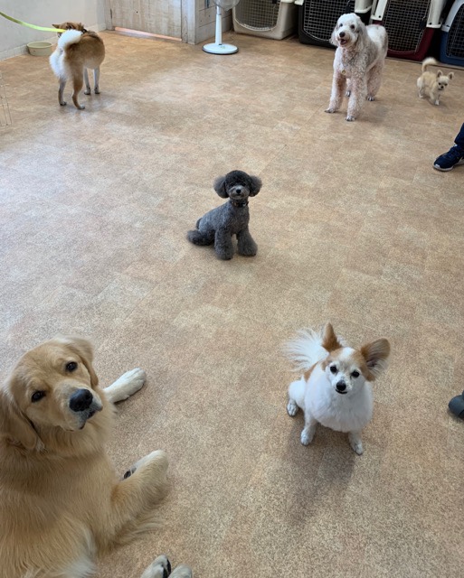 ファイル 7229-4.jpg