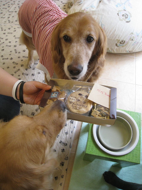 ファイル 723-3.jpg