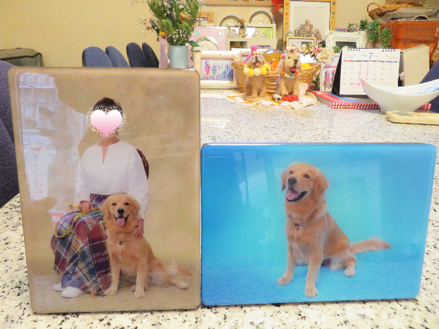 ファイル 7232-1.jpg