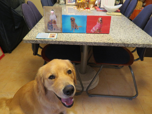 ファイル 7232-2.jpg