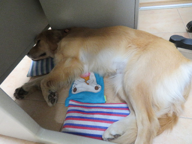 ファイル 7232-5.jpg