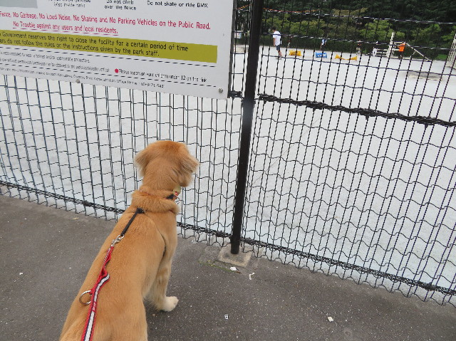 ファイル 7234-1.jpg