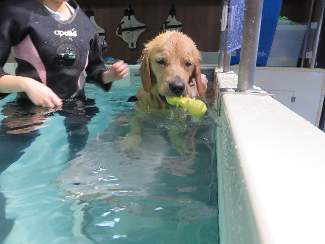 ファイル 7234-3.jpg