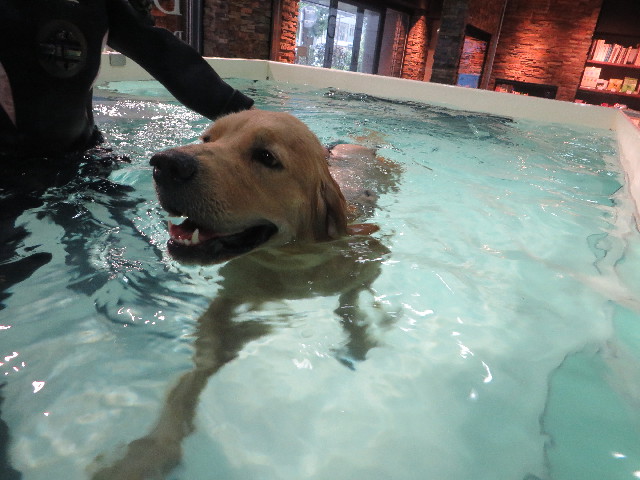 ファイル 7234-4.jpg