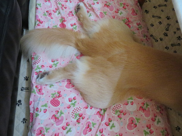 ファイル 7235-1.jpg