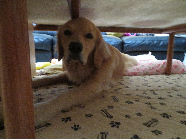 ファイル 7235-2.jpg