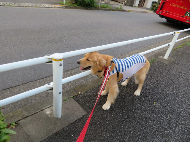 ファイル 7235-4.jpg