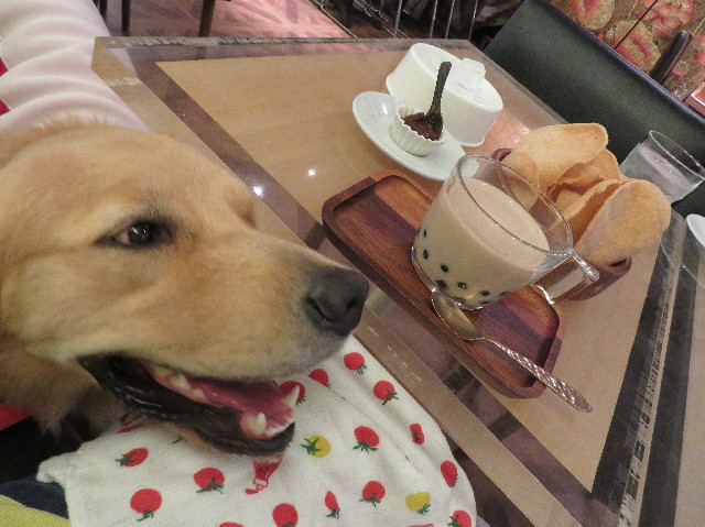 ファイル 7236-5.jpg