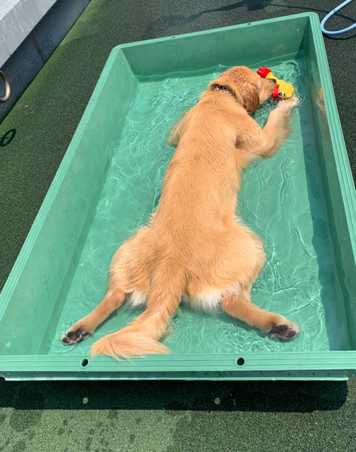 ファイル 7238-1.jpg