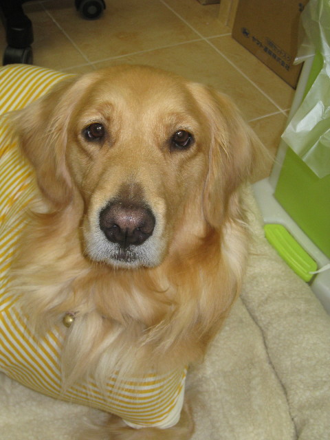 ファイル 724-1.jpg