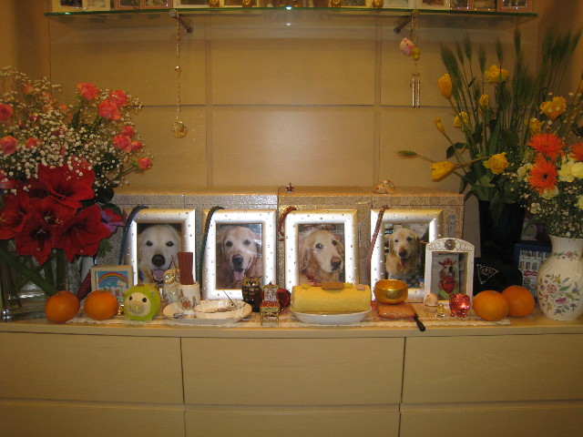 ファイル 724-5.jpg