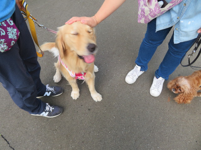 ファイル 7240-1.jpg