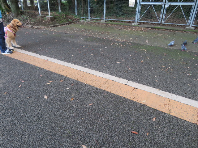 ファイル 7240-2.jpg