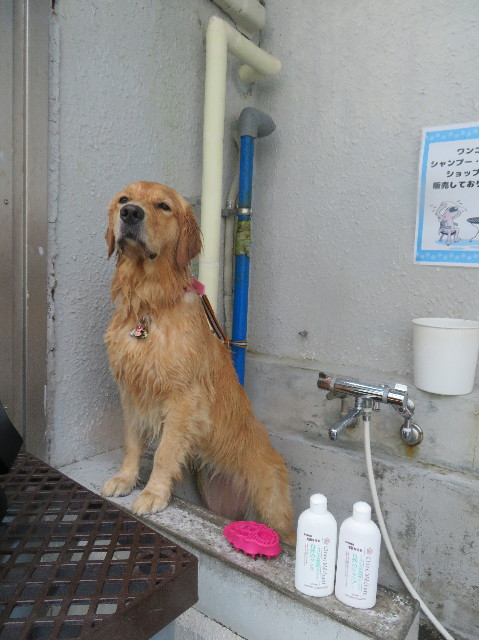 ファイル 7243-3.jpg