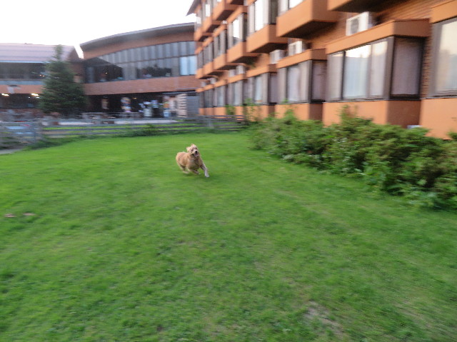 ファイル 7243-5.jpg