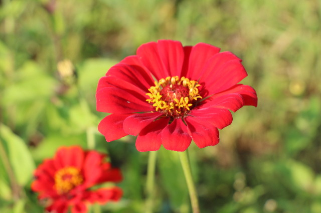 ファイル 7246-4.jpg