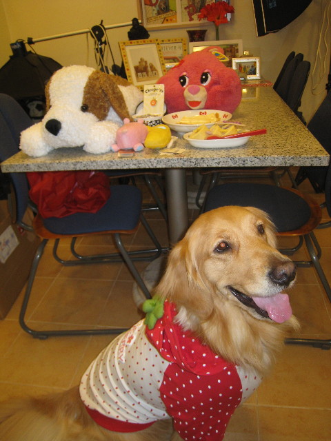 ファイル 725-1.jpg