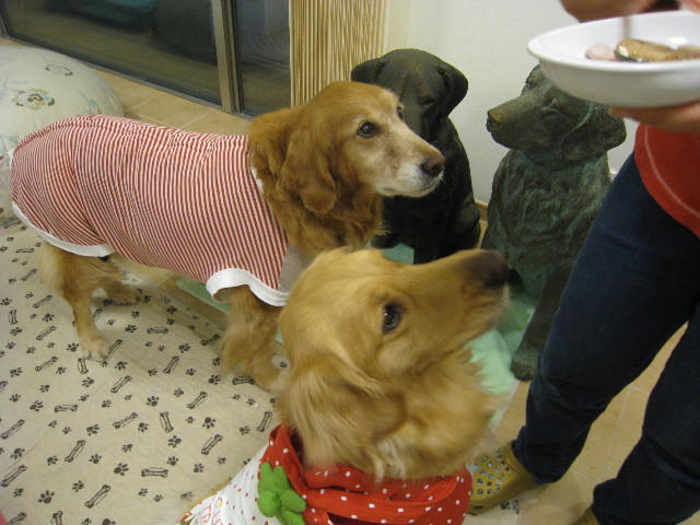 ファイル 725-3.jpg