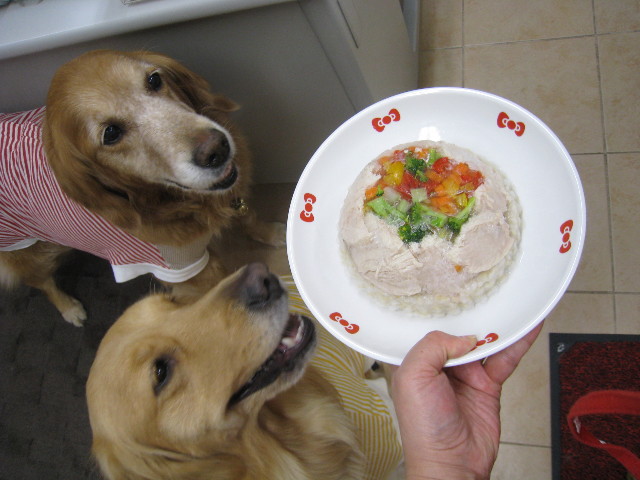 ファイル 725-4.jpg