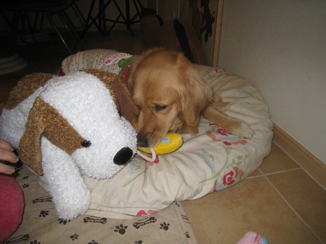 ファイル 725-5.jpg