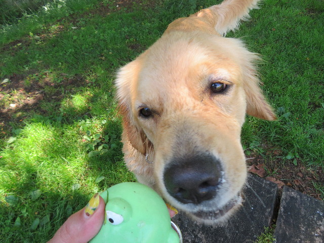 ファイル 7251-1.jpg