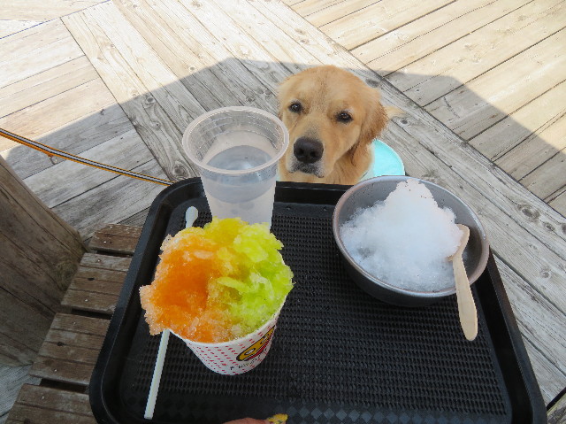 ファイル 7251-2.jpg