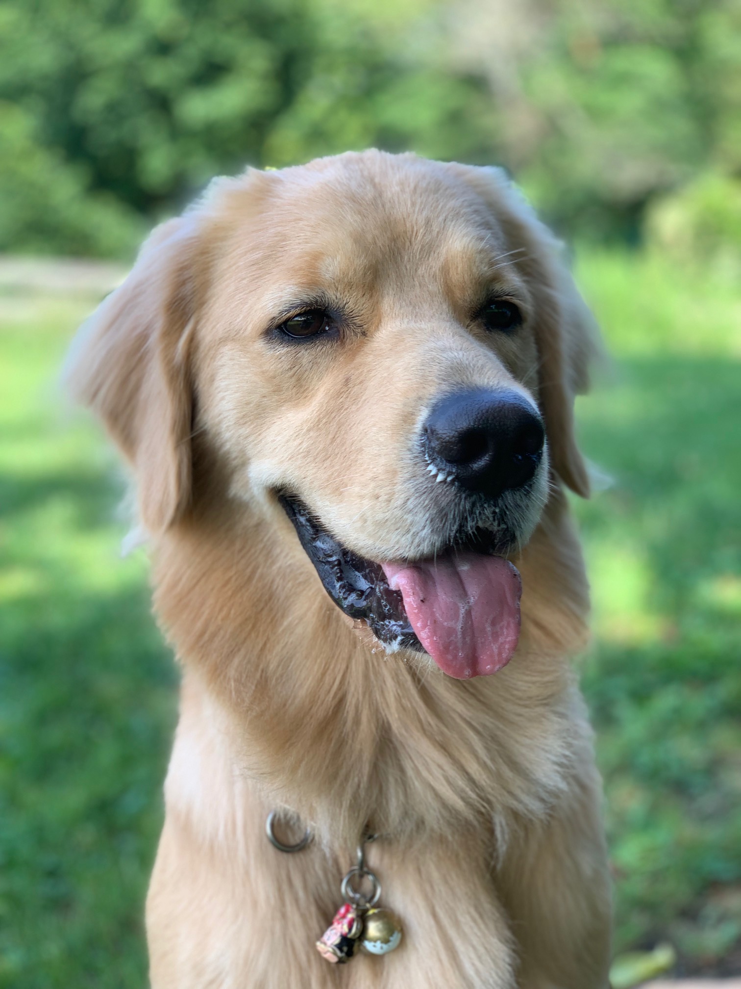 ファイル 7251-5.jpg