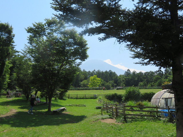 ファイル 7253-5.jpg