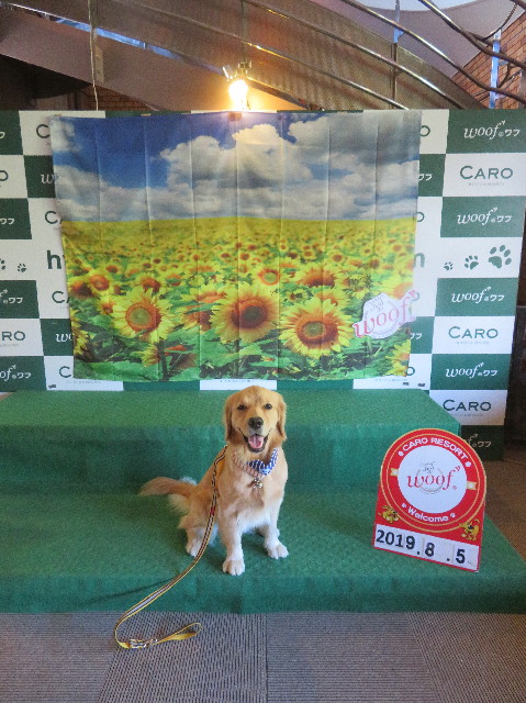 ファイル 7254-1.jpg