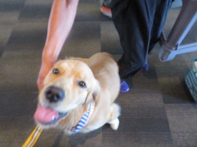 ファイル 7254-2.jpg