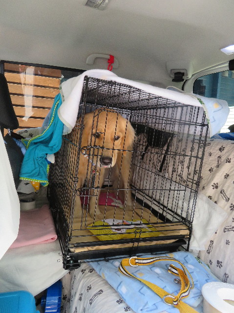 ファイル 7254-3.jpg