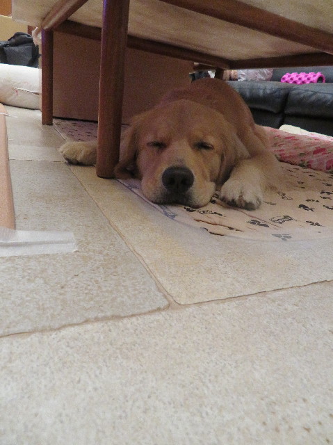 ファイル 7254-4.jpg