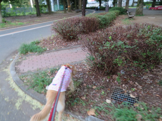 ファイル 7257-2.jpg