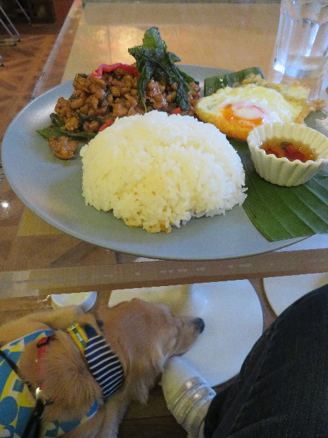 ファイル 7258-2.jpg