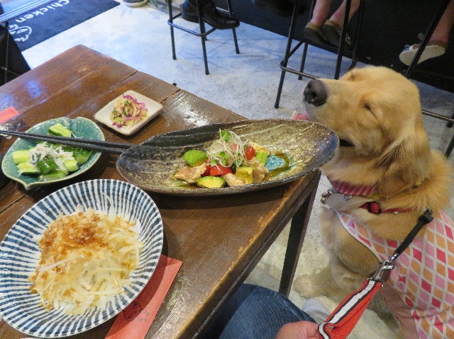 ファイル 7258-3.jpg