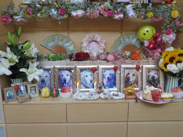 ファイル 7259-1.jpg