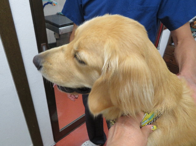 ファイル 7259-5.jpg