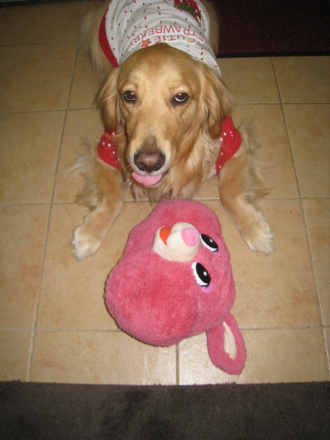 ファイル 726-1.jpg