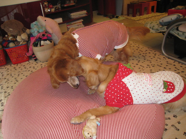 ファイル 726-3.jpg