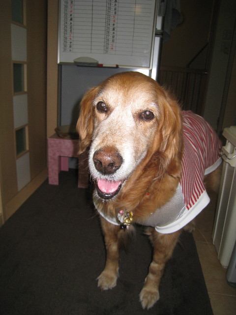 ファイル 726-4.jpg