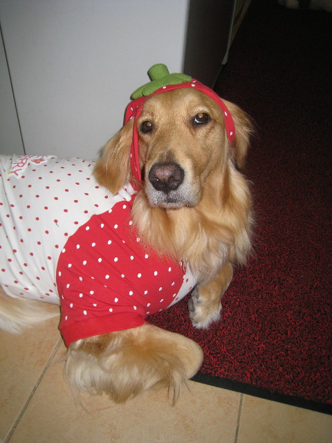 ファイル 727-1.jpg