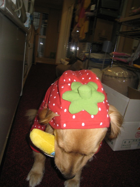 ファイル 727-5.jpg