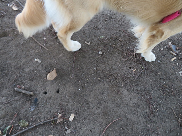 ファイル 7275-4.jpg