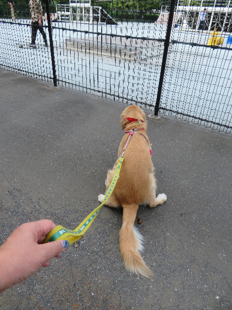 ファイル 7275-5.jpg