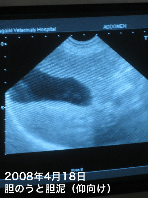 ファイル 728-5.jpg