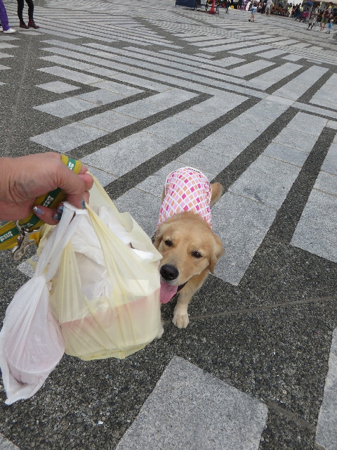 ファイル 7289-4.jpg