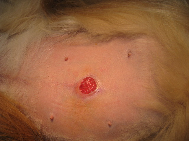 ファイル 729-4.jpg